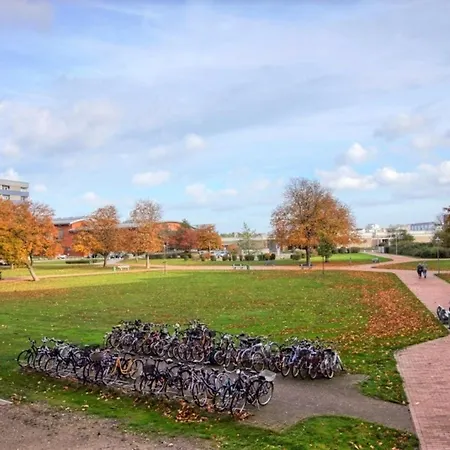 - Haus H, App 0h0102